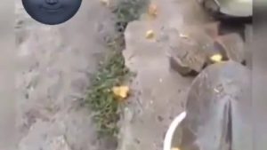 Private: Funny guy pours his last meal