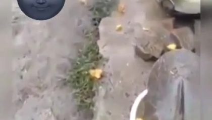 Private: Funny guy pours his last meal